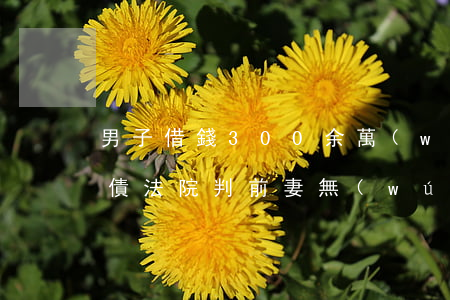 男子借錢300余萬(wàn)前妻被訴還債 法院判前妻無(wú)須還債。